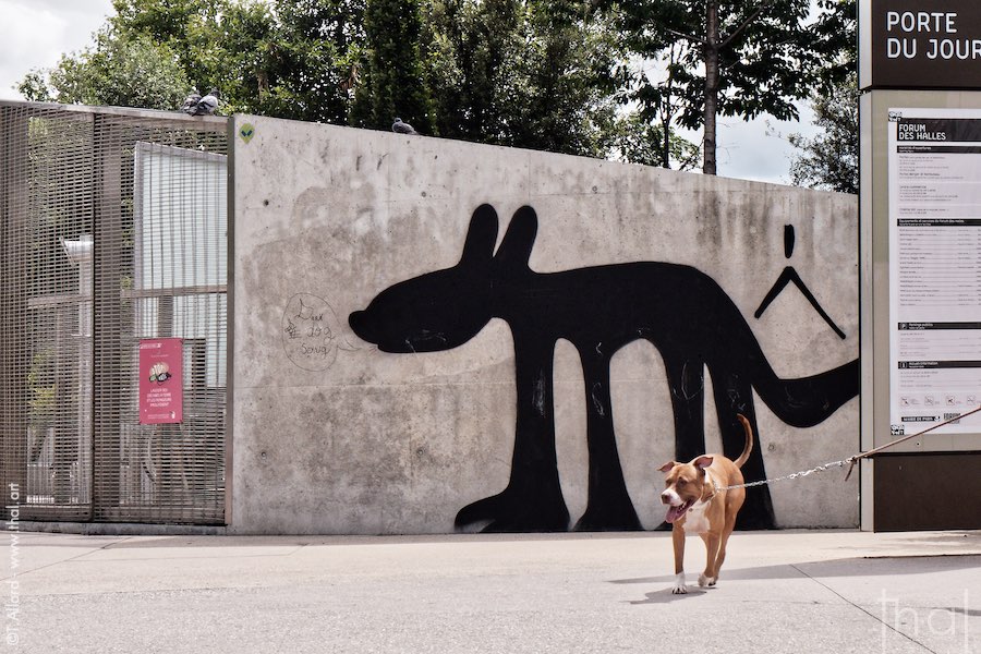 Deux chiens au jardin Nelson Mandela à Paris