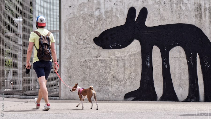 Un chien et son maître au parc Nelson Mandela à Paris