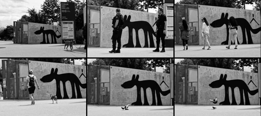 Planche contact d'images d'un mur taggé avec un chien